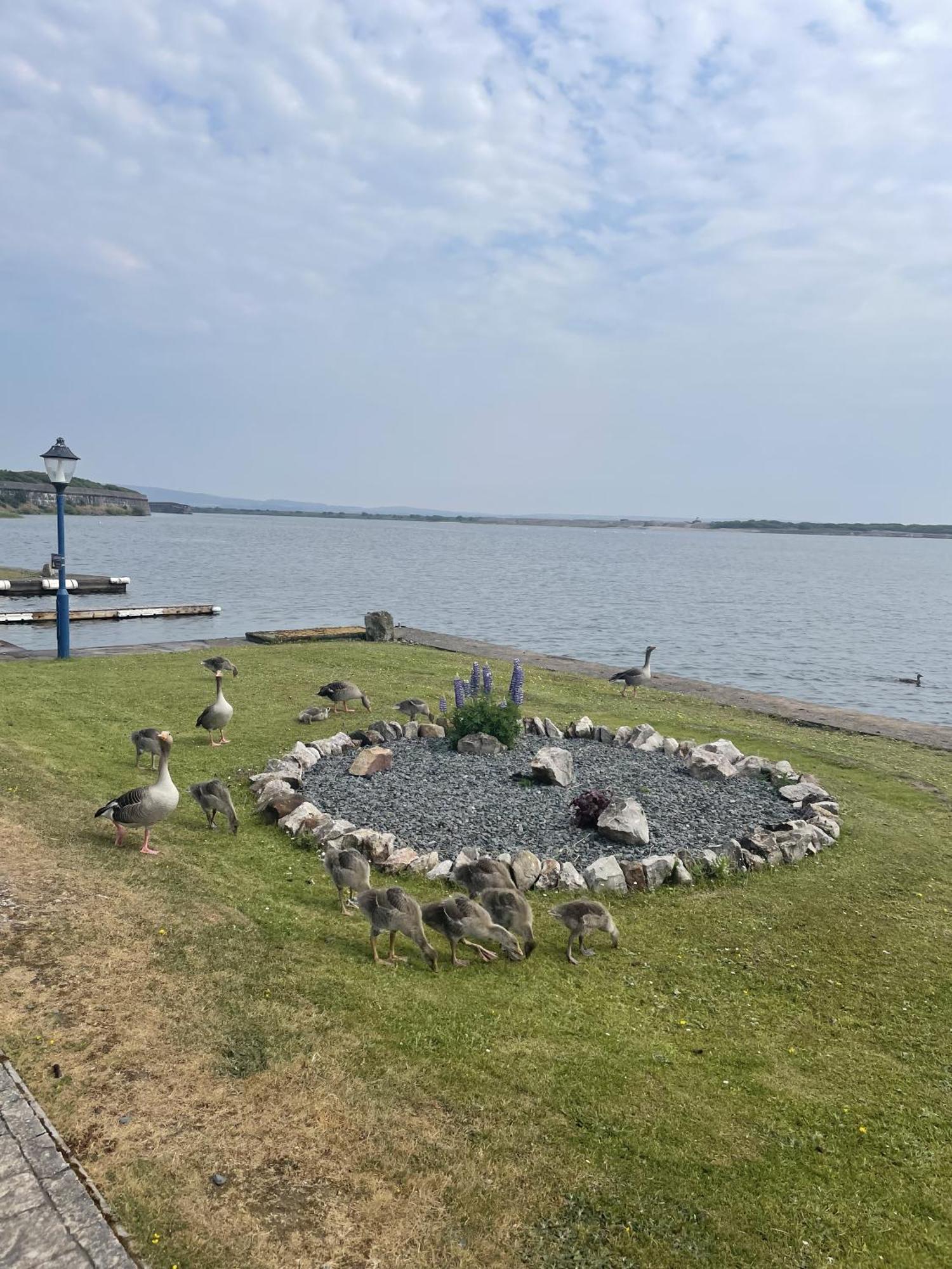 Lake View 92 Millom Eksteriør billede